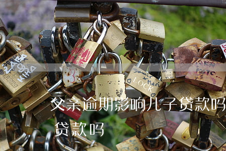 車在父親名下能貸款嗎(父親貸款逾期對我有什么影響)? (http://www.771378.com/) 知識問答 第2張