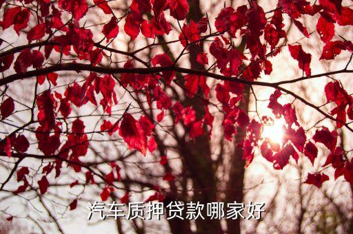 車子綠本抵押貸款平臺(車抵押綠本貸款有什么套路)? (http://www.771378.com/) 知識問答 第3張