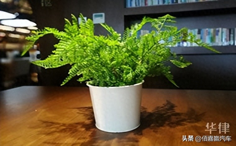 押車借錢需要啥手續(xù)(押車貸款需要什么資料)? (http://www.771378.com/) 知識(shí)問(wèn)答 第1張