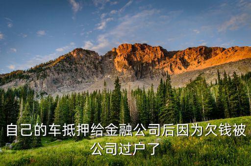 汽車過戶貸款靠譜嗎(希財網貸款靠譜嗎)? (http://www.771378.com/) 知識問答 第3張