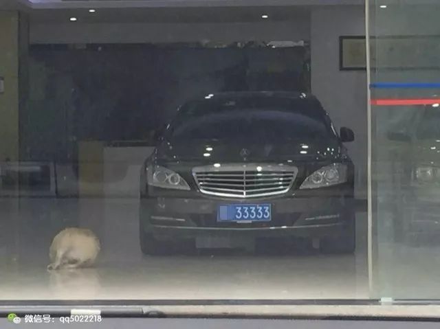 什么平臺可以抵押車(抵押車平臺可以注銷嗎)? (http://www.771378.com/) 知識問答 第1張