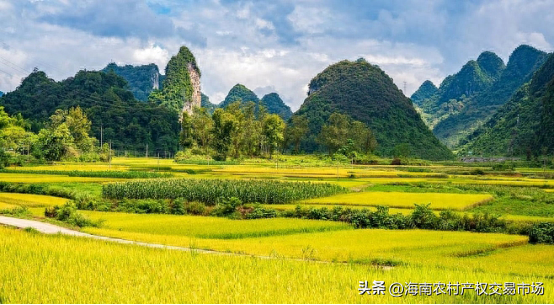 車輛抵押融資(土地違規抵押融資整改)? (http://www.771378.com/) 知識問答 第2張