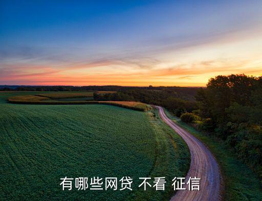 不看負債和征信的融資(融資征信)? (http://www.771378.com/) 知識問答 第2張