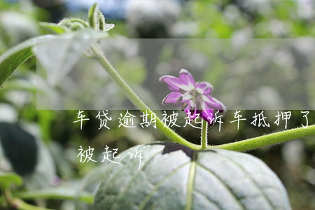 車子抵押貸款怎么貸(抵押貸款汽車)? (http://www.771378.com/) 知識問答 第2張