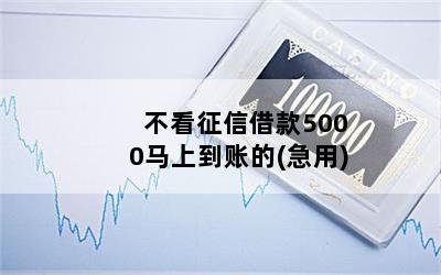 不看征信借款5000馬上到賬的(征信花了借5000)? (http://www.771378.com/) 知識問答 第1張