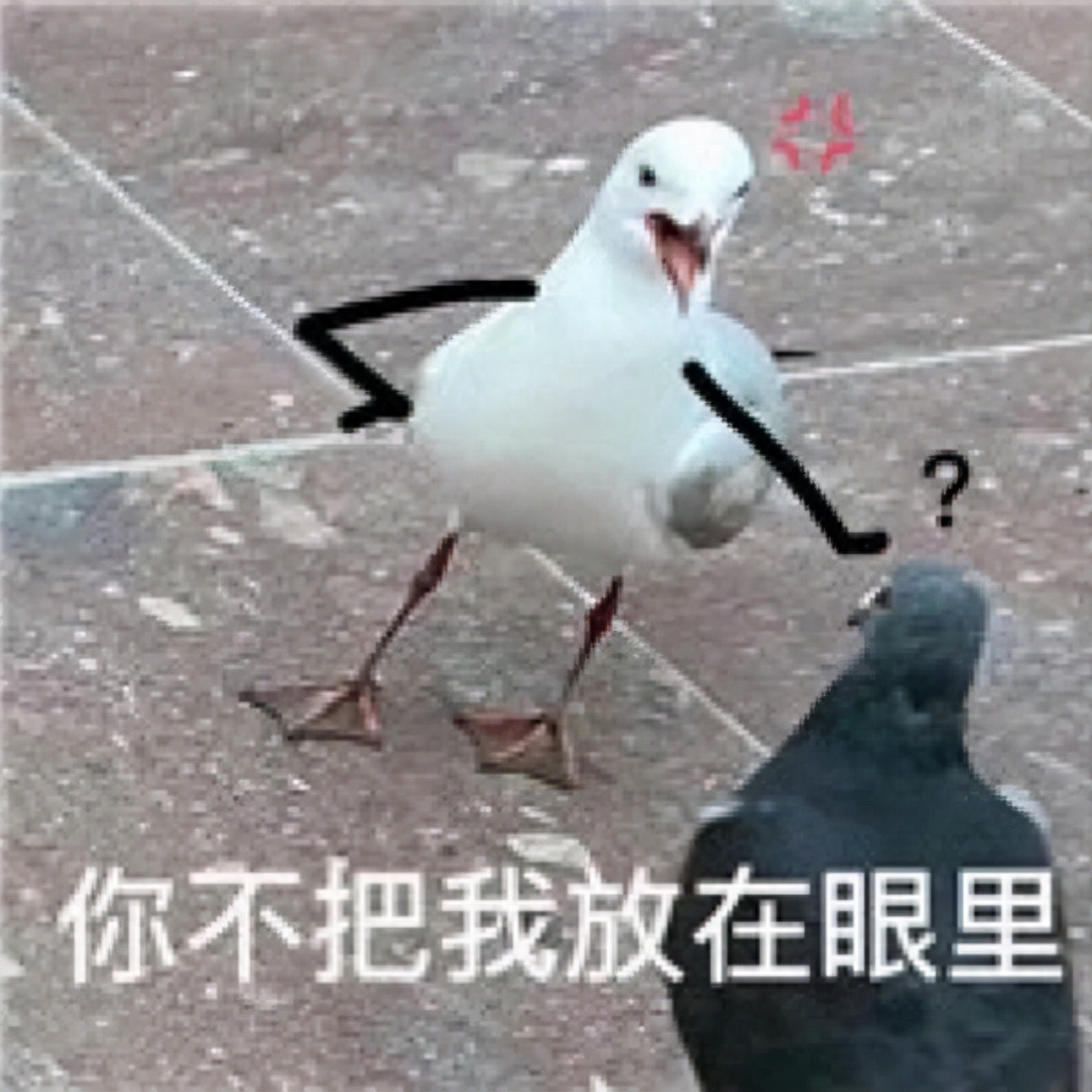 不押車不看征信貸款(押車貸款看征信嗎)? (http://www.771378.com/) 知識問答 第1張