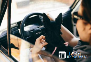 車子抵押借錢(抵押車子借錢合同)? (http://www.771378.com/) 知識問答 第5張