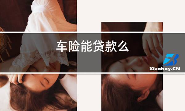 車險能貸款嗎(貸款車險第二年怎么買)? (http://www.771378.com/) 知識問答 第1張