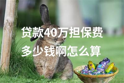 貸款擔保公司一般怎么收費(擔保收費貸款一般公司有哪些)? (http://www.771378.com/) 知識問答 第1張