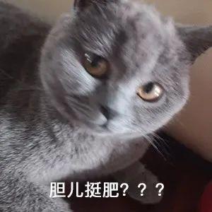 閔行區那里有車子抵押貸款的(上海汽車抵押貸)? (http://www.771378.com/) 知識問答 第1張