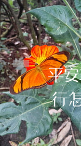 平安車主貸款怎么貸需要什么條件(平安車主貸要去銀行弄嗎)? (http://www.771378.com/) 知識問答 第2張
