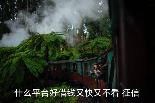 不查征信的網(wǎng)貸(網(wǎng)貸征信查多了多久能恢復(fù))? (http://www.771378.com/) 知識問答 第1張
