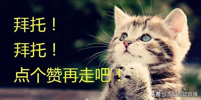 車抵押貸款不押車(車抵押貸款)? (http://www.771378.com/) 知識(shí)問(wèn)答 第2張
