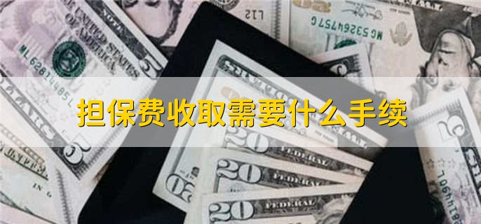 貸款擔(dān)保公司一般怎么收費(fèi)(擔(dān)保公司貸款服務(wù)費(fèi)收取標(biāo)準(zhǔn))? (http://www.771378.com/) 知識(shí)問答 第2張