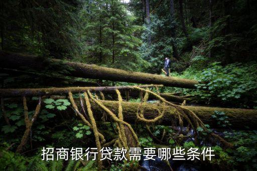 行駛證貸款(機動車行駛證貸款)? (http://www.771378.com/) 知識問答 第2張