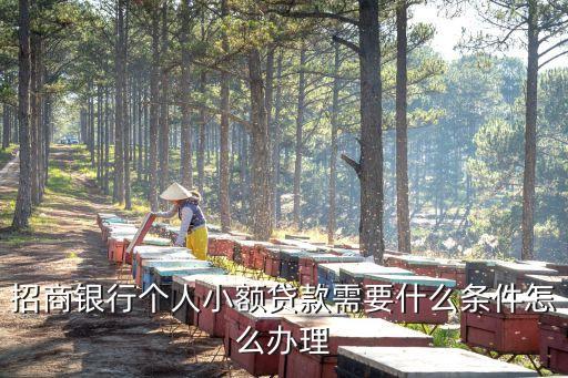 行駛證貸款(機動車行駛證貸款)? (http://www.771378.com/) 知識問答 第3張