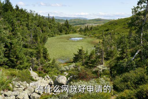 正規網絡貸款平臺哪個靠譜好申請(貸款正規的平臺)? (http://www.771378.com/) 知識問答 第2張