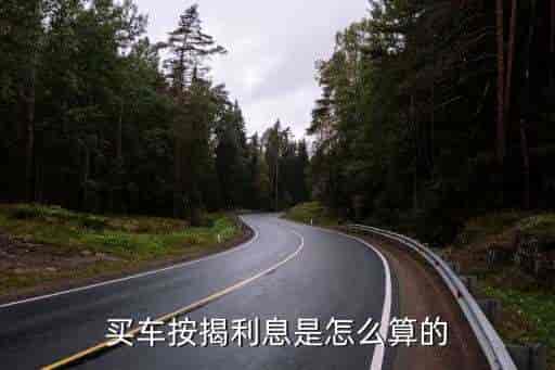 車貸利率(車貸了利率)? (http://www.771378.com/) 知識問答 第2張