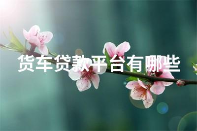 車子不抵押貸款(抵押車子貸款有什么風險)? (http://www.771378.com/) 知識問答 第1張