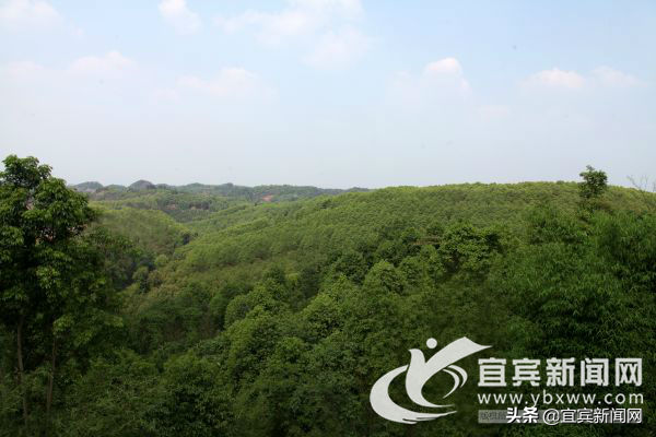 宜賓汽車抵押貸款(宜賓抵押車價格)? (http://www.771378.com/) 知識問答 第3張