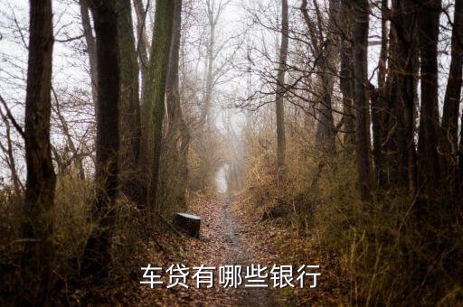 上海車輛貸款公司(上海汽車貸款公司業務)? (http://www.771378.com/) 知識問答 第2張