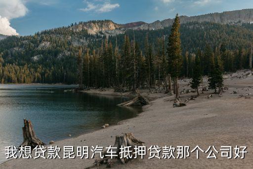 上海車子抵押貸款哪里可以做(上海的抵押車能買嗎)? (http://www.771378.com/) 知識問答 第2張