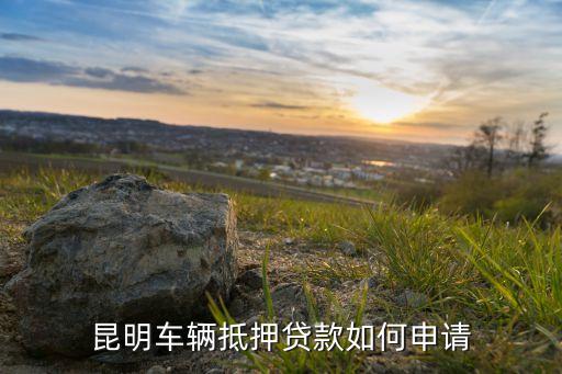 上海車子抵押貸款哪里可以做(上海的抵押車能買嗎)? (http://www.771378.com/) 知識問答 第3張