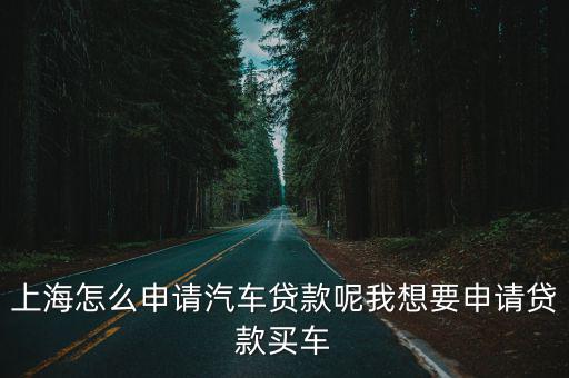 上海車牌貸款怎樣申請(上海車牌貸款申請了能取消嗎)? (http://www.771378.com/) 知識問答 第1張