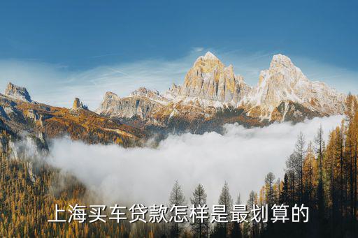 上海車牌貸款怎樣申請(上海車牌貸款申請了能取消嗎)? (http://www.771378.com/) 知識問答 第2張