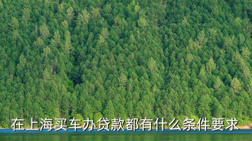 上海車牌貸款怎樣申請(上海車牌貸款申請了能取消嗎)? (http://www.771378.com/) 知識問答 第3張