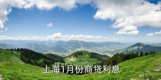 上海車貸利率是多少(上海車子貸款)? (http://www.771378.com/) 知識(shí)問答 第2張