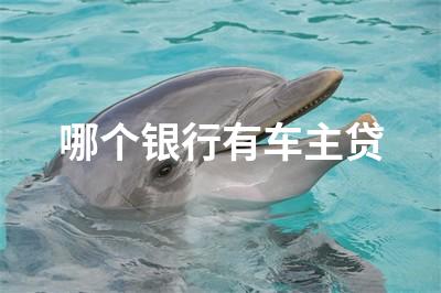 用車貸款哪個平臺靠譜(用車貸款的平臺)? (http://www.771378.com/) 知識問答 第1張