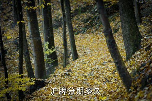 滬牌貸款(滬牌貸款合算嗎)? (http://www.771378.com/) 知識問答 第2張