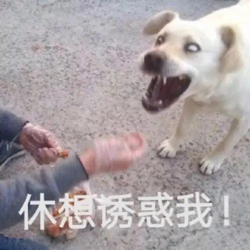 第三方車(chē)輛抵押貸款靠譜嗎%3F(三方抵押車(chē)可以買(mǎi)嗎)? (http://www.771378.com/) 知識(shí)問(wèn)答 第2張