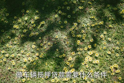 公司車抵押(抵押車公司戶好還是個(gè)人戶好)? (http://www.771378.com/) 知識(shí)問答 第1張