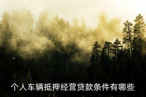公司車抵押(抵押車公司戶好還是個(gè)人戶好)? (http://www.771378.com/) 知識(shí)問答 第2張