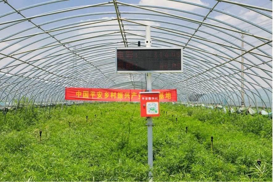 平安普惠(普惠平安保險)? (http://www.771378.com/) 知識問答 第21張