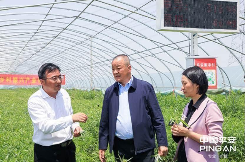 平安普惠(普惠平安保險)? (http://www.771378.com/) 知識問答 第22張