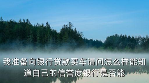 汽車貸款那家銀行的不知道怎么辦(貸款買車銀行會打電話給家人嗎)? (http://www.771378.com/) 知識問答 第3張
