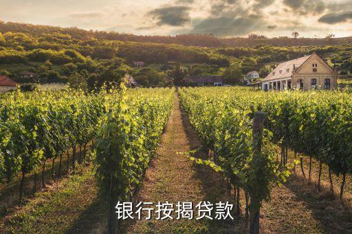 上海汽車借款(借款上海汽車怎么還款)? (http://www.771378.com/) 知識問答 第3張