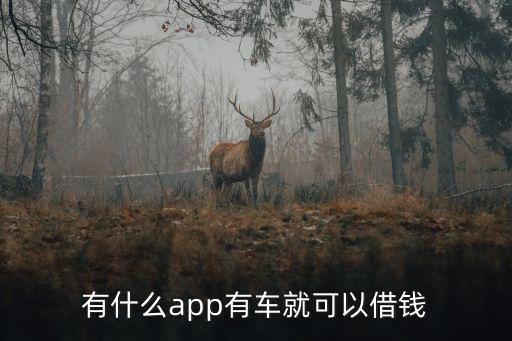 什么軟件可以代還車貸(貸代車軟件可以注銷嗎)? (http://www.771378.com/) 知識問答 第2張