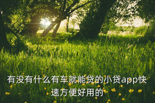 什么軟件可以代還車貸(貸代車軟件可以注銷嗎)? (http://www.771378.com/) 知識問答 第3張