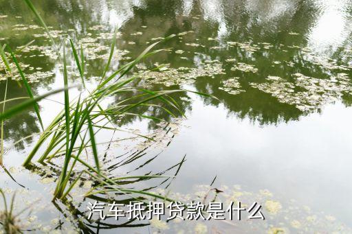 營運車輛可以抵押貸款嗎(抵押營運貸款車輛可以過戶嗎)? (http://www.771378.com/) 知識問答 第2張