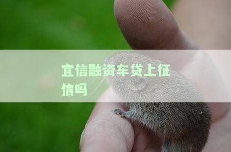 易車貸(易車貸)? (http://www.771378.com/) 知識問答 第1張