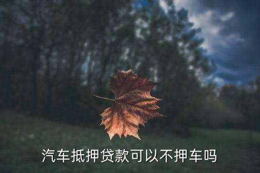 車輛抵押貸款哪個平臺利息最低(專業汽車抵押貸款利息低)? (http://www.771378.com/) 知識問答 第2張