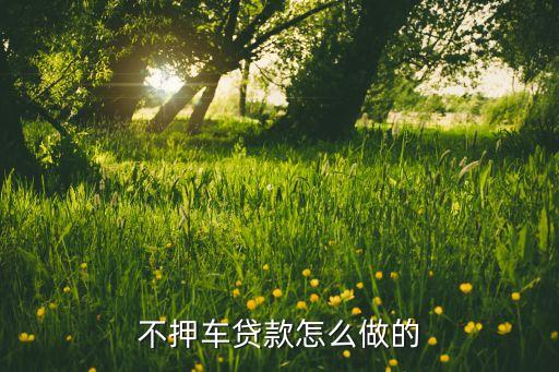 車子抵押貸款不押車(抵押車貸款風險大嗎)? (http://www.771378.com/) 知識問答 第1張