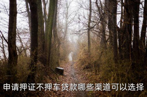 車子抵押貸款不押車(抵押車貸款風險大嗎)? (http://www.771378.com/) 知識問答 第3張