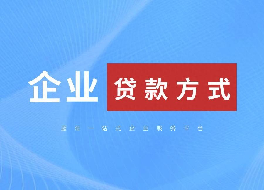 貸款公司有哪幾家(貸款公司有風險嗎)? (http://www.771378.com/) 知識問答 第1張