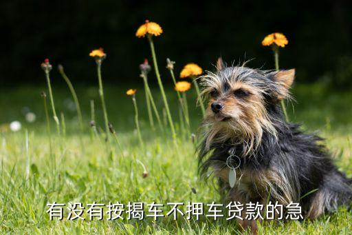 車子抵押貸款不押車(抵押貸款的車)? (http://www.771378.com/) 知識(shí)問答 第1張