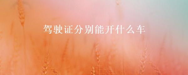 民間貸款公司(民間借貸的公司)? (http://www.771378.com/) 知識問答 第3張